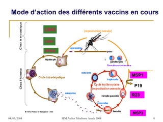 Mode d’action des différents vaccins en cours

             LSA3

             LSA1

             RTS,S




                                                        MSP1

                                                        P19

                                                        R23



                                                        MSP3
04/05/2004           IPM Atelier Paludisme Année 2004          8
 
