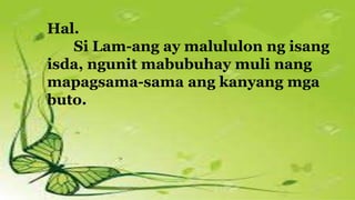 Hal.
Si Lam-ang ay malululon ng isang
isda, ngunit mabubuhay muli nang
mapagsama-sama ang kanyang mga
buto.
 