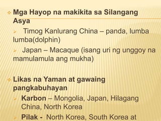  Mga Hayop na makikita sa Silangang
Asya
 Timog Kanlurang China – panda, lumba
lumba(dolphin)
 Japan – Macaque (isang uri ng unggoy na
mamulamula ang mukha)
 Likas na Yaman at gawaing
pangkabuhayan
 Karbon – Mongolia, Japan, Hilagang
China, North Korea
 Pilak - North Korea, South Korea at
 