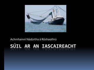 Achmhainní Nádúrtha á Róshaothrú

SÚIL AR AN IASCAIREACHT
 