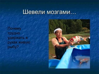 Шевели мозгами…

Почему
трудно
удержать в
руках живую
рыбу?
 