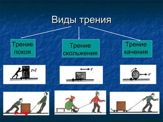 Виды трения

Трение       Трение     Трение
 покоя     скольжения   качения
 