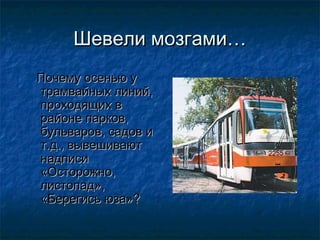 Шевели мозгами…
Почему осенью у
трамвайных линий,
проходящих в
районе парков,
бульваров, садов и
т.д., вывешивают
надписи
«Осторожно,
листопад»,
«Берегись юза»?
 