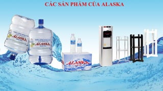 CÁC SẢN PHẨM CỦA ALASKA
 