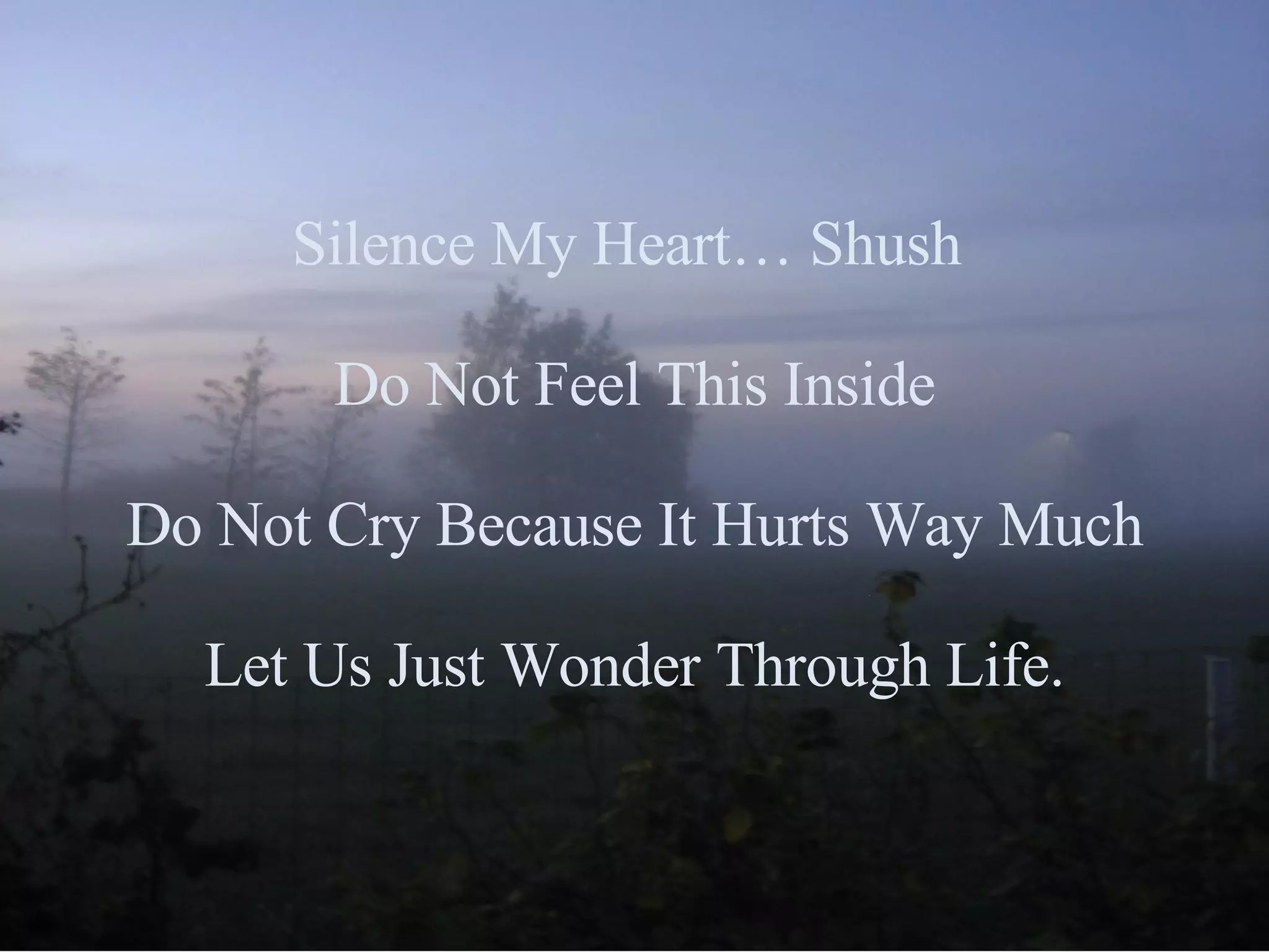 Silence My Heart… Shush Do Not Feel This Inside Do Not Cry Because It Hurts Way Much Let Us Just Wonder Through Life.