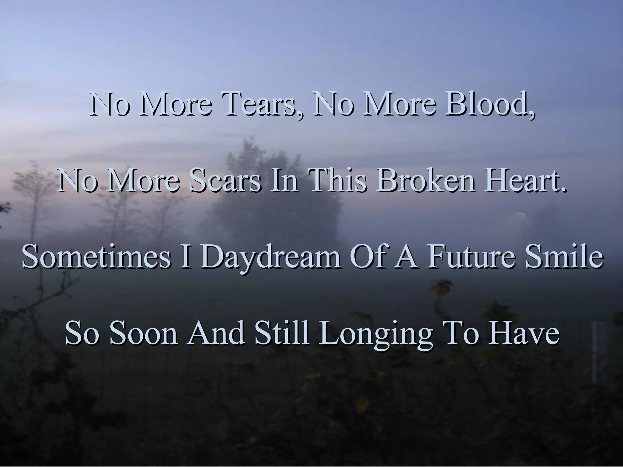 No More Tears, No More Blood, No More Scars In This Broken Heart. Sometimes I Daydream Of A Future Smile So Soon And Still Longing To Have