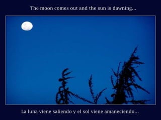 The moon comes out and the sun is dawning…La luna viene saliendo y el sol viene amaneciendo…