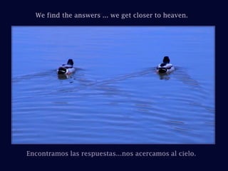 We find the answers ... we get closer to heaven.Encontramos las respuestas...nos acercamos al cielo.