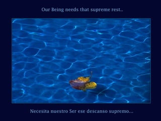 Our Being needs that supreme rest.. Necesita nuestro Ser ese descanso supremo… 