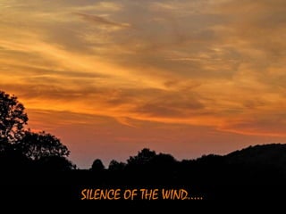 SILENCE OF THE WIND.....
 