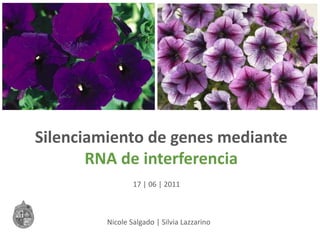 Silenciamiento de genes mediante
       RNA de interferencia
                 17 | 06 | 2011



         Nicole Salgado | Silvia Lazzarino
 