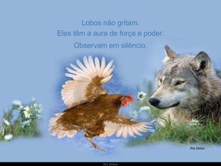 Lobos não gritam. Eles têm a aura de força e poder. Observam em silêncio. 