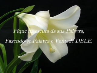 Fique na escuta da sua Palavra,
Fazendo-se Palavra e Vontade DELE.
 