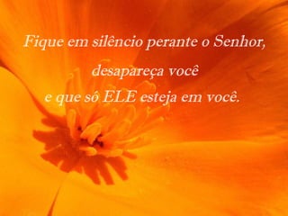 Fique em silêncio perante o Senhor,
desapareça você
e que só ELE esteja em você.
 