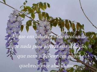 Fique em adoração tão profunda que nada posa alterar sua atenção, que nem aflições nem gozos quebrem este abandono ... 