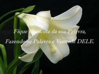 Fique na escuta da sua Palavra,  Fazendo-se Palavra e Vontade DELE. 