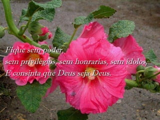 Fique sem poder,  sem privilégios, sem honrarias, sem ídolos,  E consinta que Deus seja Deus.                                 