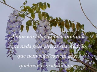 Fique em adoração tão profunda
que nada posa alterar sua atenção,
que nem aflições nem gozos
quebrem este abandono ...
 