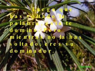 ---  Luego que has soltado la palabra, ésta te domina. Pero mientras no la has soltado, eres su dominador.  Clemenfray 