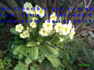 Bendito el hombre que,no teniendo nada que decir, se abstiene de  demostrárnoslo con sus palabras. Clemenfray 