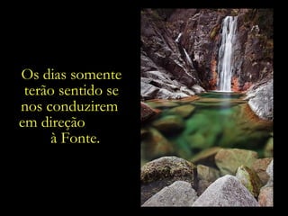 Os dias somente terão sentido se nos conduzirem  em direção  à Fonte. 