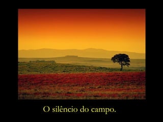 O silêncio do campo. 