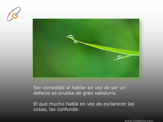 www.vilaporta.comSer comedido al hablar en vez de ser un defecto es prueba de gran sabiduría.El que mucho habla en vez de esclarecer las cosas, las confunde.