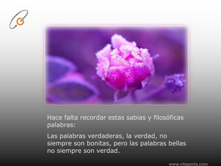 www.vilaporta.comHace falta recordar estas sabias y filosóficas palabras:Las palabras verdaderas, la verdad, no siempre son bonitas, pero las palabras bellas no siempre son verdad.