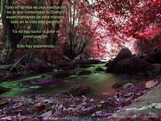 Todo en la vida es una meditación,
 en la que contemplas lo Divino y
 experimentando de esta manera,
   todo en la vida está bendito.

    Ya no hay lucha ni dolor ni
         preocupación.

      Sólo hay experiencia.




                                                            http://www.tom-phillips.info/images/cool.pics.35/image.3505.jpg
                        Visita: www.RenuevoDePlenitud.com
 