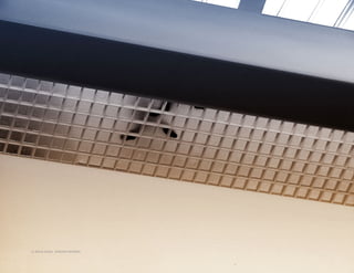 © JESUS ANGEL SANCHEZ MORENO

 