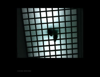 © JESUS ANGEL SANCHEZ MORENO

 