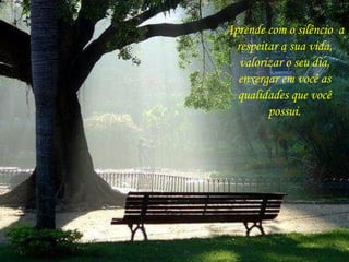 Aprende com o silêncio a
respeitar a sua vida,
valorizar o seu dia,
enxergar em você as
qualidades que você
possui.
 