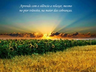 Aprende com o silêncio a relaxar, mesmo
no pior trânsito, na maior das cobranças.
 