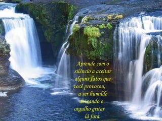 Aprende com o
silêncio a aceitar
alguns fatos que
você provocou,
a ser humilde
deixando o
orgulho gritar
lá fora.
 