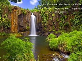 Aprende com o silêncio que a solidão
não é o pior castigo, existem companhias
bem piores.
 
