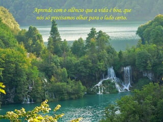 Aprende com o silêncio que a vida é boa, que
nós só precisamos olhar para o lado certo.
 