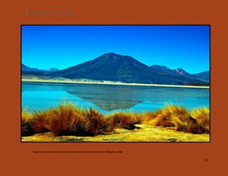 10

SILENCIOS DE EL LOA. OLLAGÜE.

Paja brava en el borde del Salar de Ascotán, Comuna de Ollagüe, Chile.
10

 