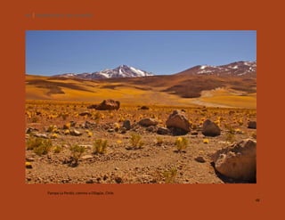 48

SILENCIOS DE EL LOA. OLLAGÜE.

Pampa La Perdiz, camino a Ollagüe, Chile.
48

 