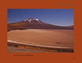 SILENCIOS DE EL LOA. OLLAGÜE. 49

Salar de Carcote, camino a Ollagüe, Chile.
49

 