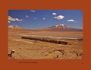 50

SILENCIOS DE EL LOA. OLLAGÜE.

Salar de Carcote, Comuna de Ollagüe.

50

 