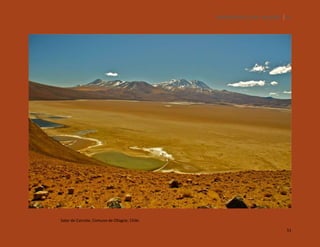 SILENCIOS DE EL LOA. OLLAGÜE. 51

Salar de Carcote, Comuna de Ollagüe, Chile.
51

 