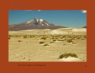 54

SILENCIOS DE EL LOA. OLLAGÜE.

Volcán camino a Ollagüe, Comuna de Ollagüe, Chile.

54

 