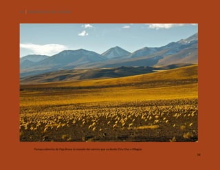 58

SILENCIOS DE EL LOA. OLLAGÜE.

Pampa cubiertta de Paja Brava al costado del camino que va desde Chiu Chiu a Ollagüe.
58

 