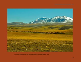 SILENCIOS DE EL LOA. OLLAGÜE. 61

Un convoy cruza la pampa con destino a Ollagüe, Comuna de Ollagüe, Chile.
61

 