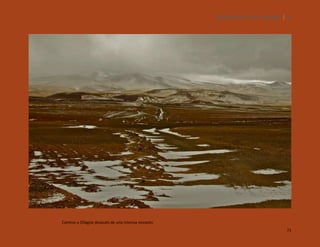 SILENCIOS DE EL LOA. OLLAGÜE. 71

Camino a Ollagüe después de una intensa nevazón
71

 