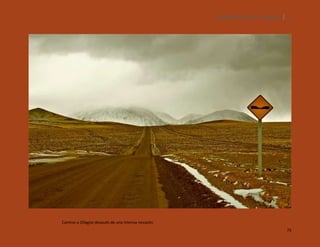 SILENCIOS DE EL LOA. OLLAGÜE. 75

Camino a Ollagüe después de una intensa nevazón
75

 