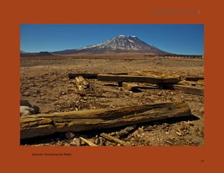 SILENCIOS DE EL LOA. OLLAGÜE. 77

Estación Ferroviaria San Pedro
77

 