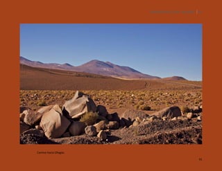 SILENCIOS DE EL LOA. OLLAGÜE. 91

Camino hacia Ollagüe.
91

 