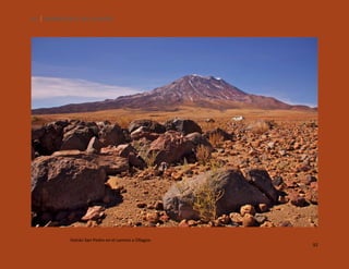92

SILENCIOS DE EL LOA. OLLAGÜE.

Volcán San Pedro en el camino a Ollagüe.

92

 