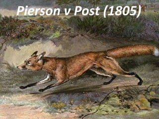 Pierson v PostPierson v Post (1805)
 